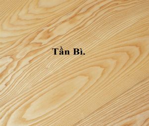 Vân tủ bếp gỗ tần bì giá rẻ